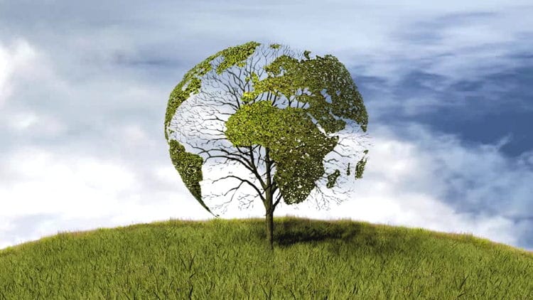 Важливість кваліфікованої допомоги в отриманні екологічних дозволів для бізнесу